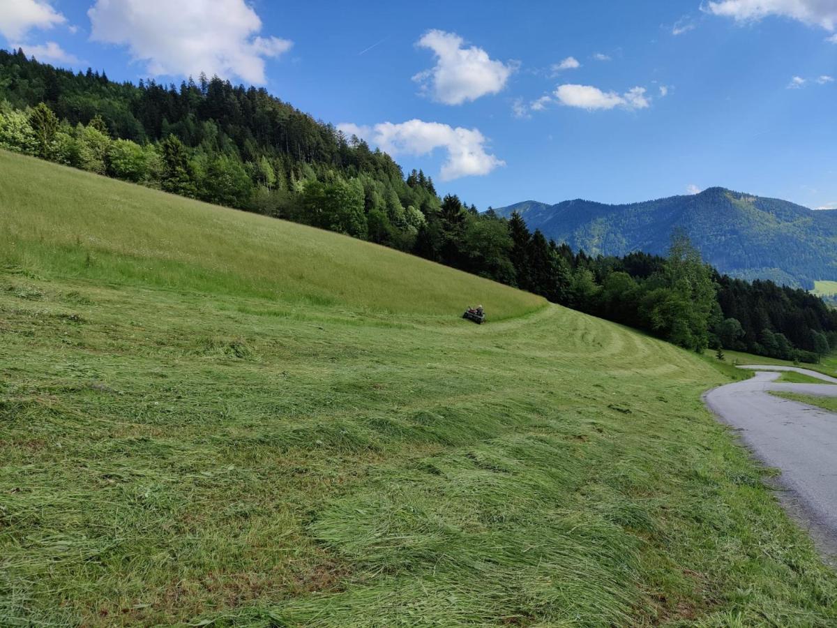 Ferienhaus Englbrecht Krispl Exteriér fotografie